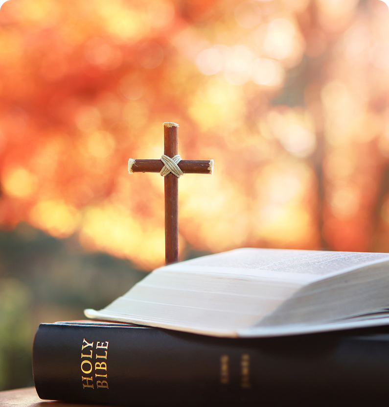 Open Bible and wooden cross outdoors